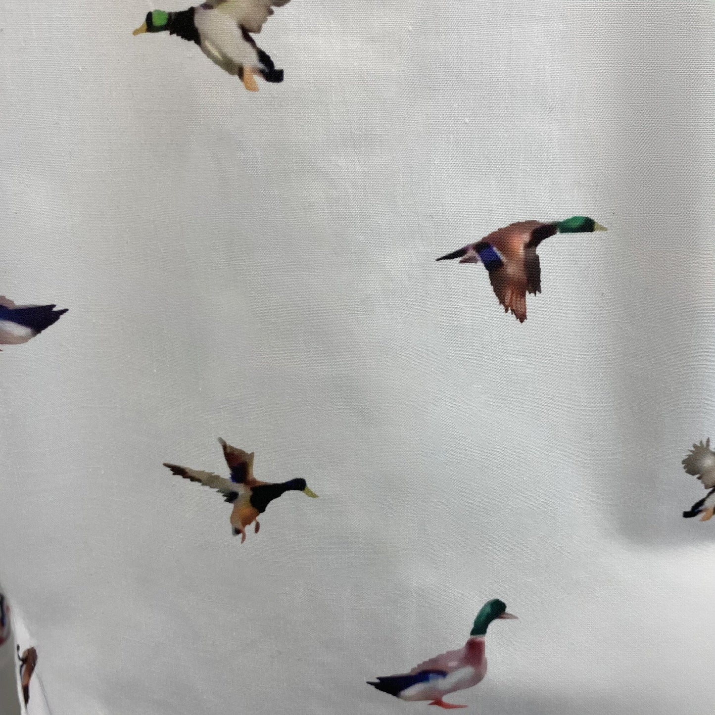 Hazy Blue Womens Long Sleeve Duck Shirt - Camila - Just $19.99! Shop now at Warwickshire Clothing. Free Dellivery.