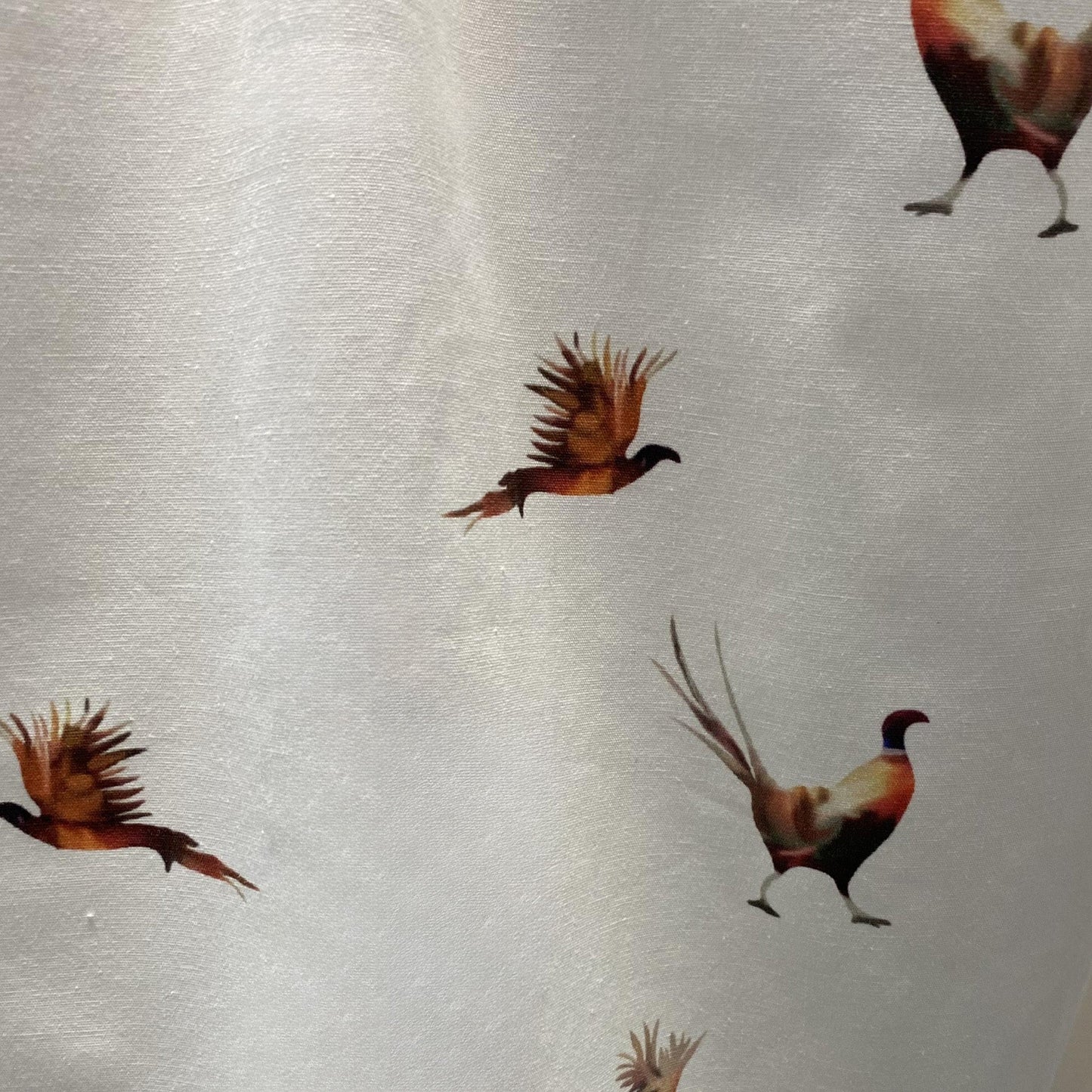 Hazy Blue Womens Long Sleeve Pheasant Shirt - Diana - Just $19.99! Shop now at Warwickshire Clothing. Free Dellivery.