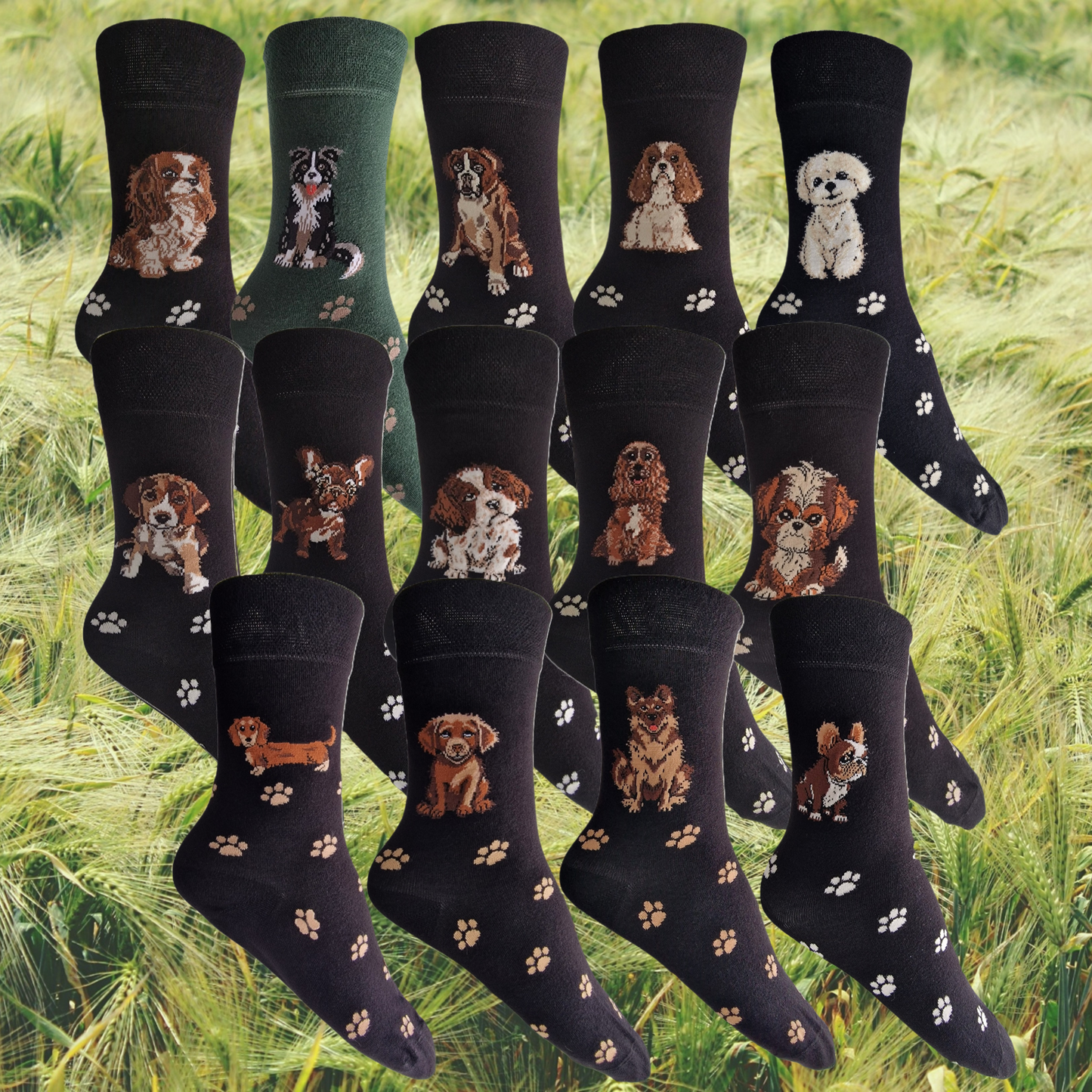 Hazy Blue Womens Dog Socks Bamboo Blend Size 4 to 8 - Just $3.99! Shop now at Warwickshire Clothing. Free Dellivery.
